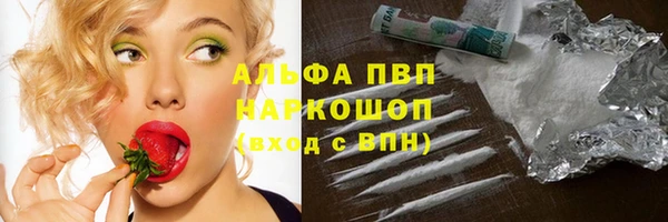 ECSTASY Коряжма