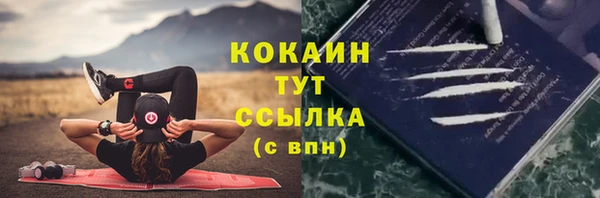 ECSTASY Коряжма