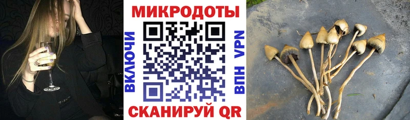 Купить закладки  Кировск  Галлюциногенные грибы ЛСД 