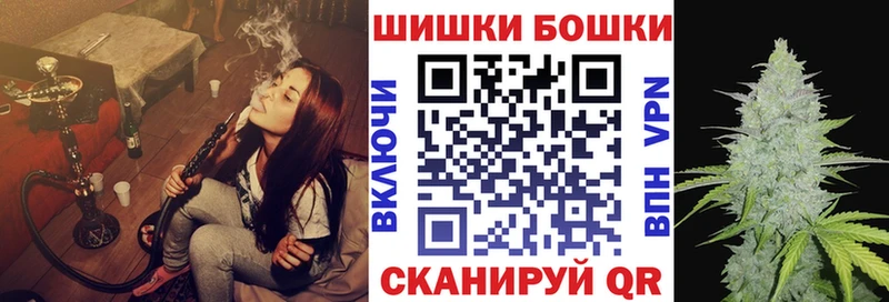 Купить где  Кировск  Бошки марихуана гибрид 